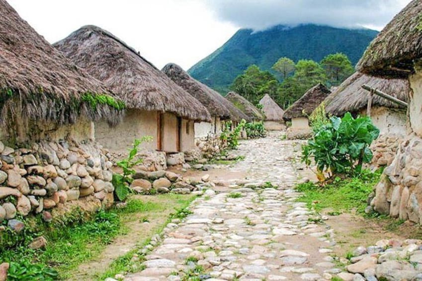 Ciudad Perdida: 4 or 5 Day Trek to the Lost City from Santa Marta