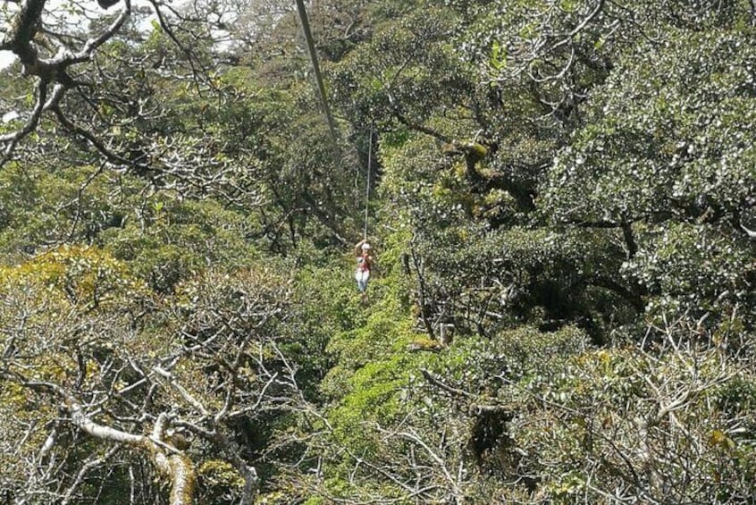 The Original Canopy Tour Monteverde