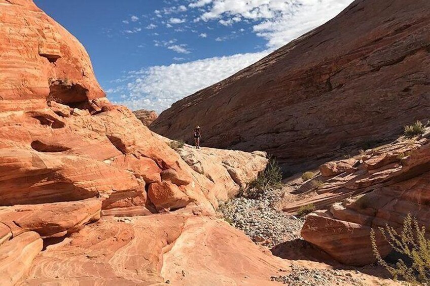 Valley of Fire Family/Friends Adventure Hiking Tour