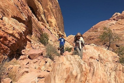 Valley of Fire Group Hiking Tour