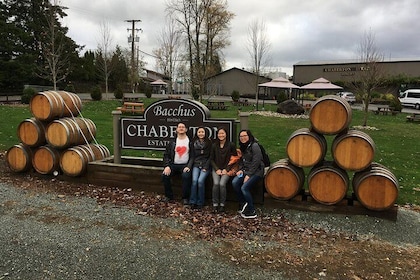 Small-Group Fraser Valley Wine Tour with Lunch from Vancouver