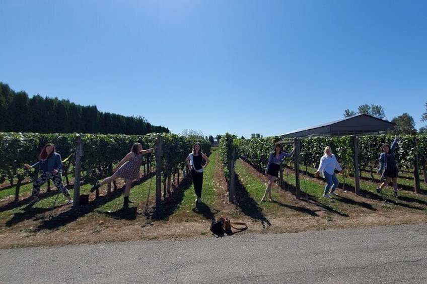 You can get right up close to the grapes that make the wine you drink. Wine Tours are amazing!