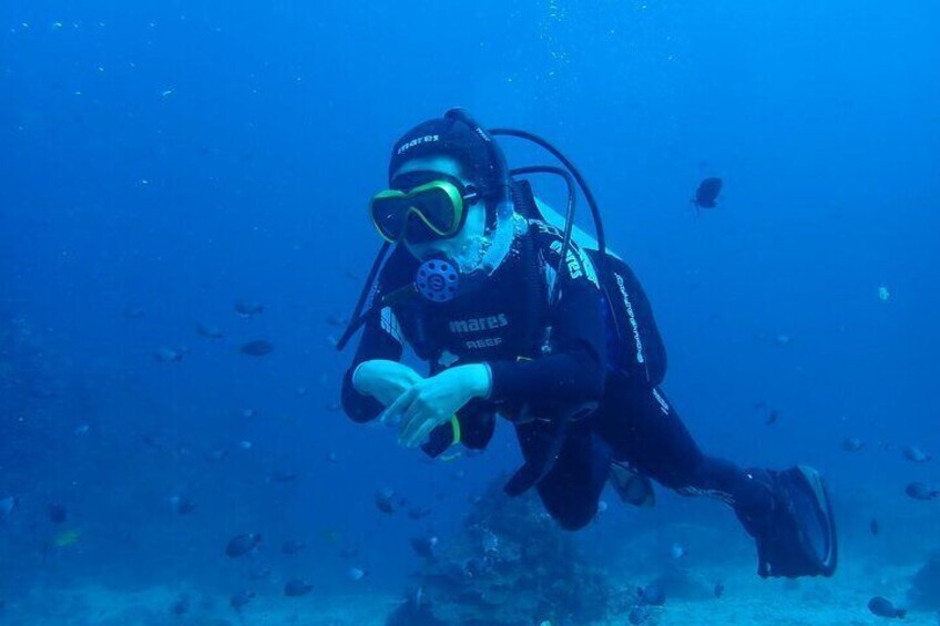 PADI Open Water Diver Course @ Anilao Batangas