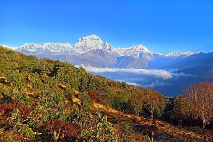 Dhaulagiri Himal from Poon hill 