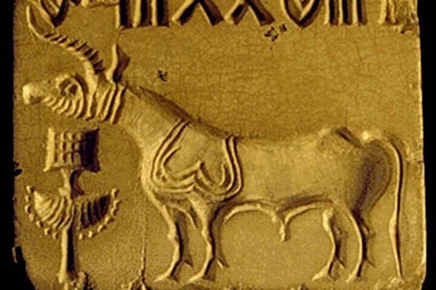 The unicorn is the most common motif on Indus seals and appears to represent a mythical animal that Greek and Roman sources trace back to the Indian subcontinent