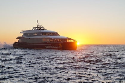 Afternoon Gordon River Dinner Cruise