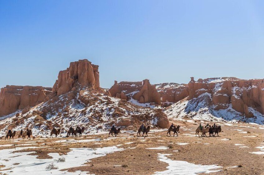 11 Days Camel Caravan of South Gobi