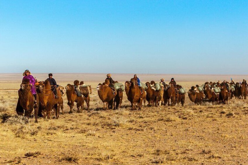 11 Days Camel Caravan of South Gobi 