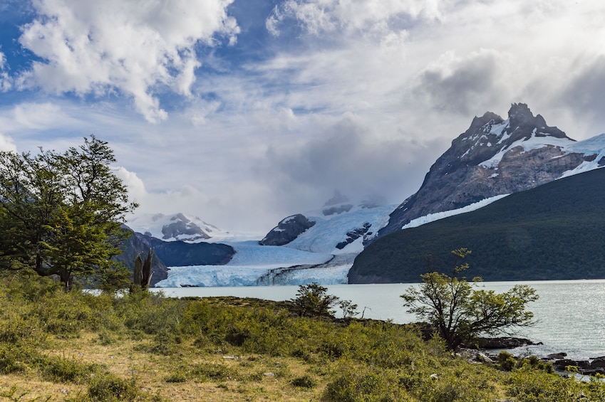 Full Day All Glaciers Cruise from El Calafate with 1 Stop