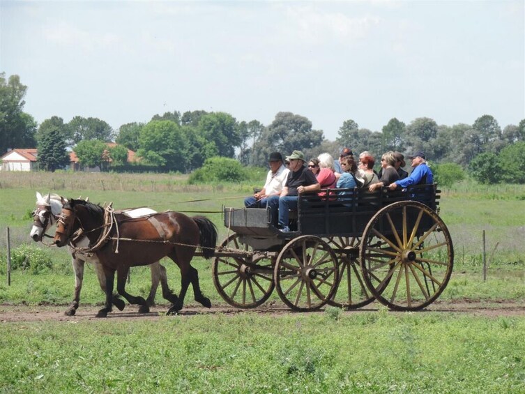 Gaucho Day Trip from Buenos Aires: Santa Susana Ranch