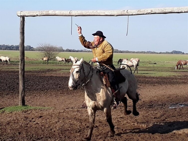 Gaucho Day Trip from Buenos Aires: Santa Susana Ranch