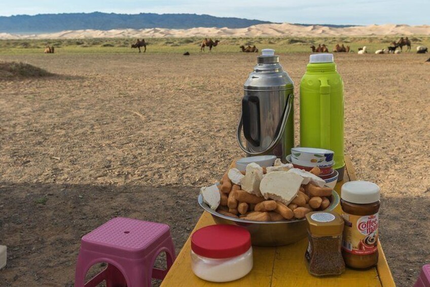 18 Days From Gobi Desert to Steppe and Lakes