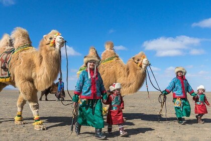 13 Days Ice and Camel Festival 2020