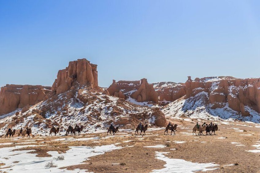 13 Days Ice and Camel Festival 2020