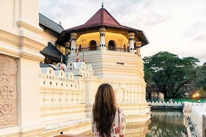 Kandy Sightseeing Day Tour from Colombo (All Inclusive)