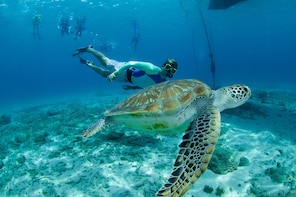 Full Day West Coast Catamaran Snorkel Trip on Curacao