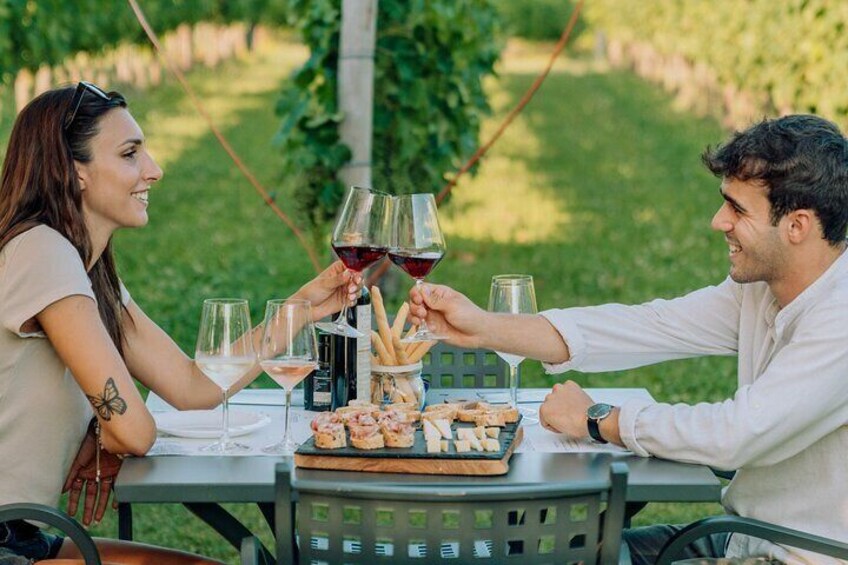 Wine and Food Tasting in the Vineyards in Lazise