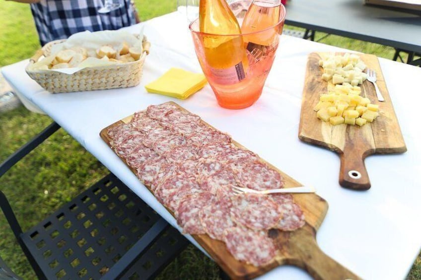 Wine and food tasting in the vineyards in Lazise