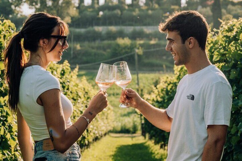 Wine and Food Tasting in the Vineyards in Lazise