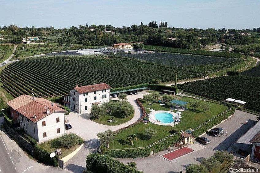 Wine and food tasting in the vineyards in Lazise