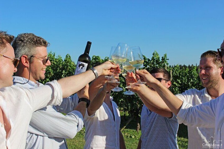 Wine and food tasting in the vineyards in Lazise