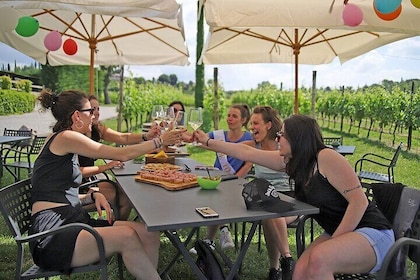 Wine and Food Tasting in the Vineyards in Lazise