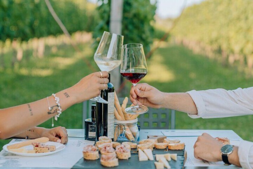Wine and Food Tasting in the Vineyards in Lazise
