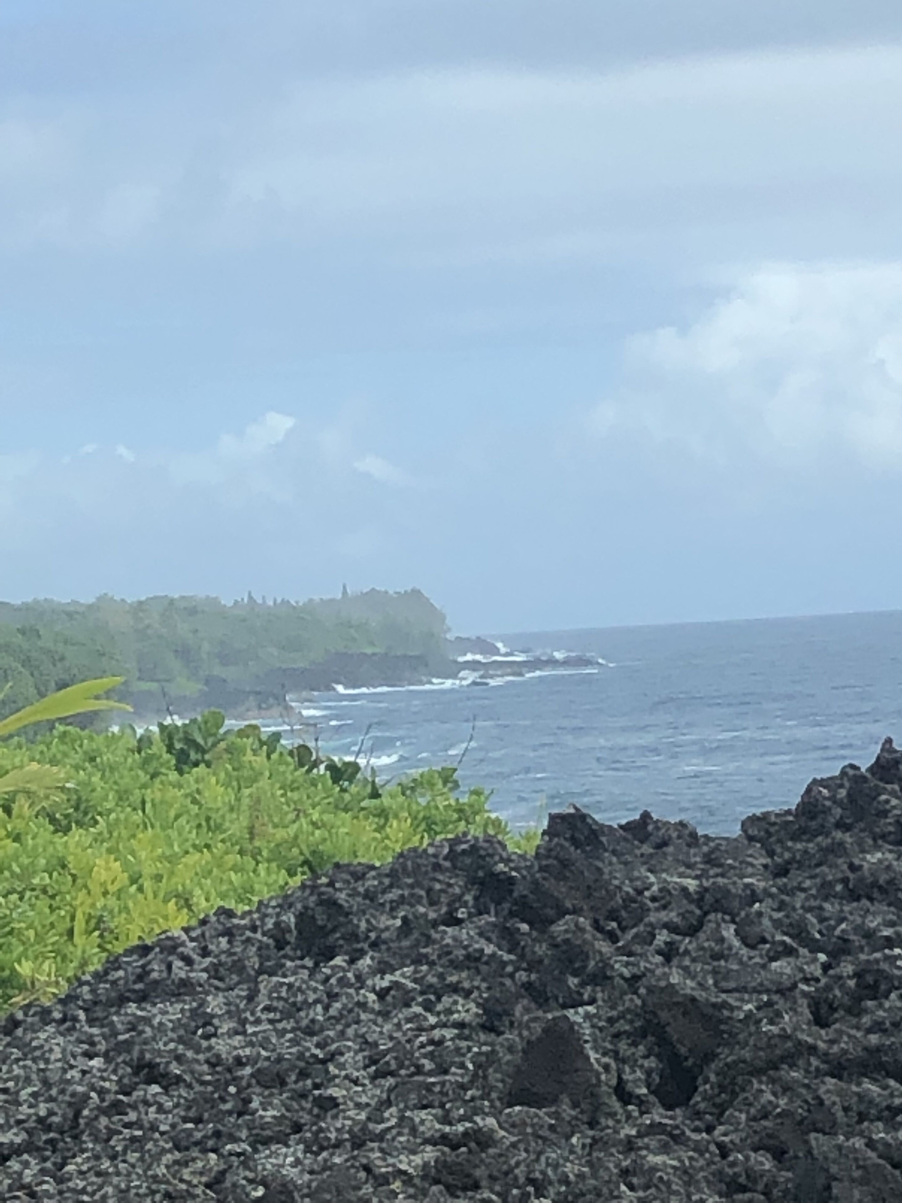 Things To Do In Kamuela 2021 Activities & Attractions Travelocity