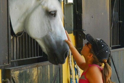 Carthusian Stud private – Yeguada de la Cartuja