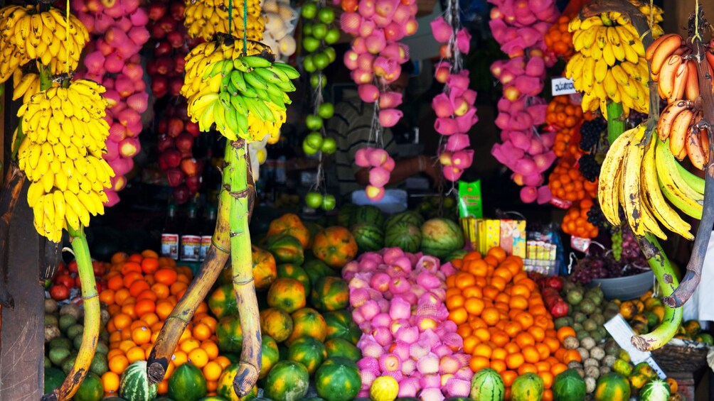 brightly colored fruits in Colombo