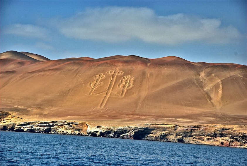 Ballestas Islands & Chandelier Tour from Paracas