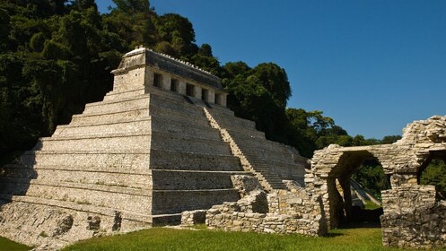 Palenque & Roberto Barrios