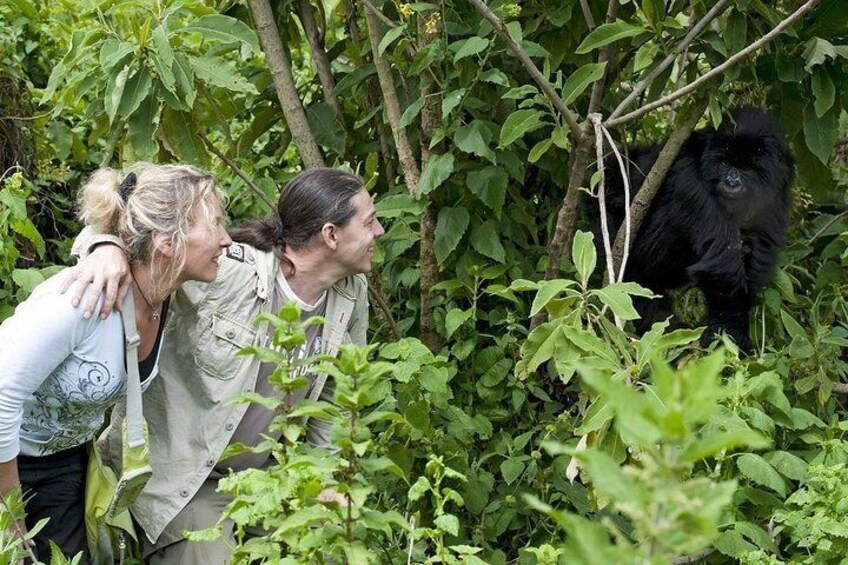 Gorilla tracking by airways