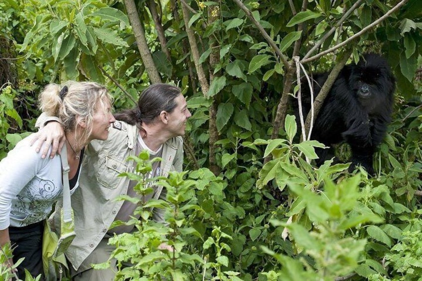 Gorilla tracking by airways