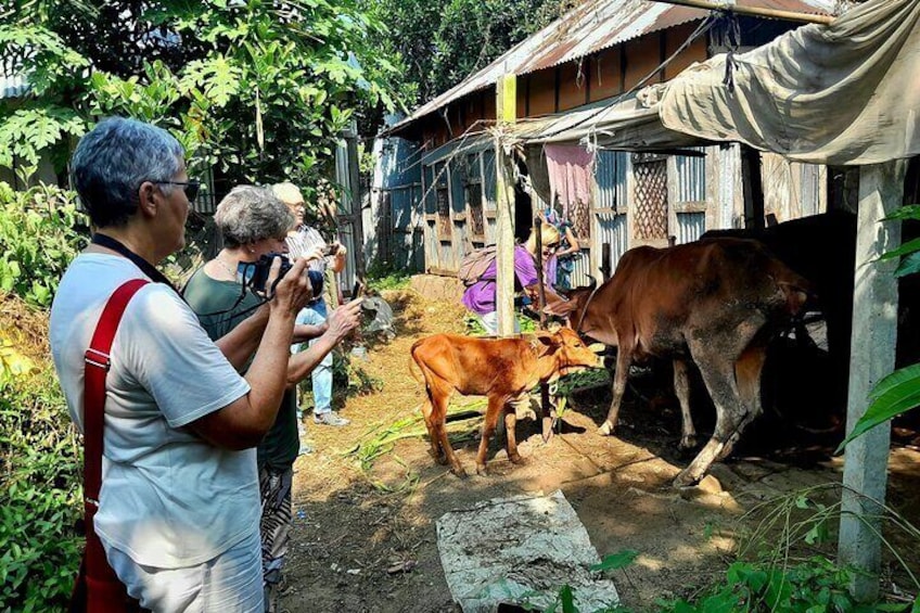 Tourists Enjoying Local Village