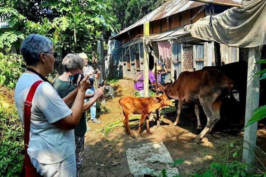 Tourists Enjoying Local Village