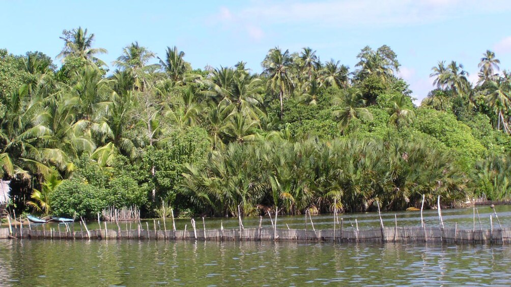River in Balapitiya