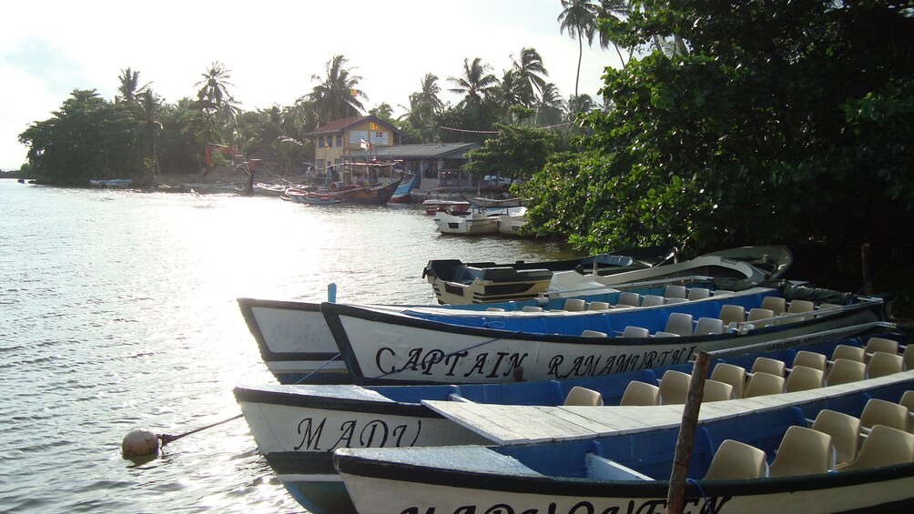 boats tied up at shore in Colombo