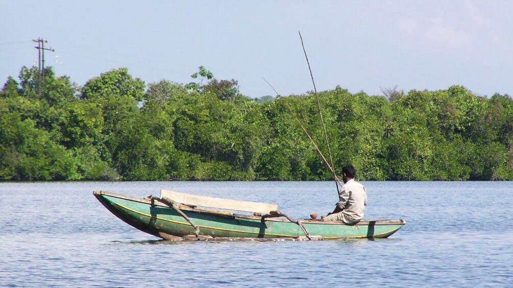 Fisherman on a river in Balapitiya
