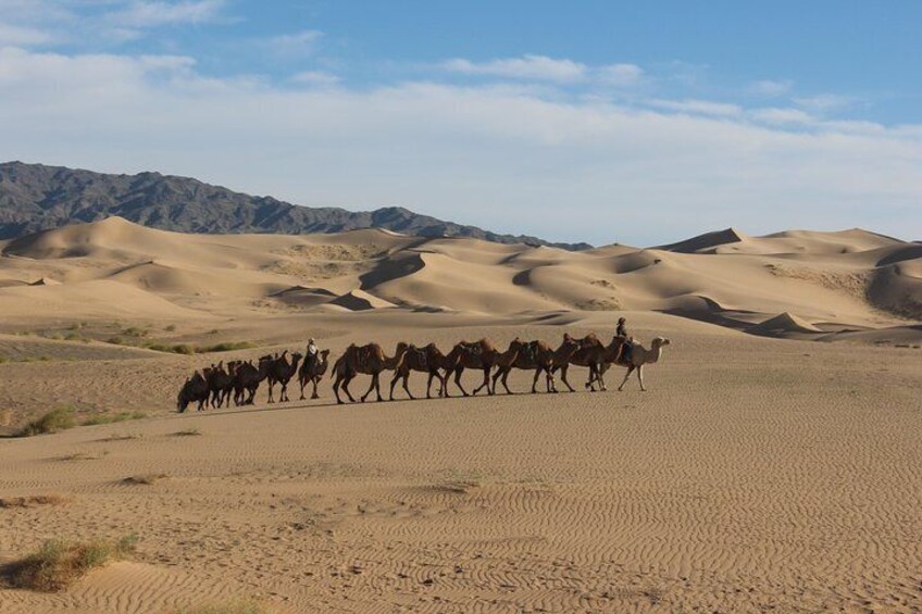 12 Days Gobi Desert and Express Mongolia