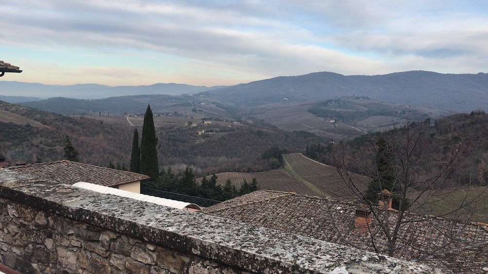 Montalcino, Pienza & Montepulciano Wine Tour From Siena