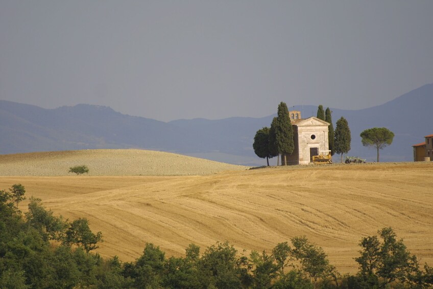 Pienza and Montepulciano Wine Tour from Siena