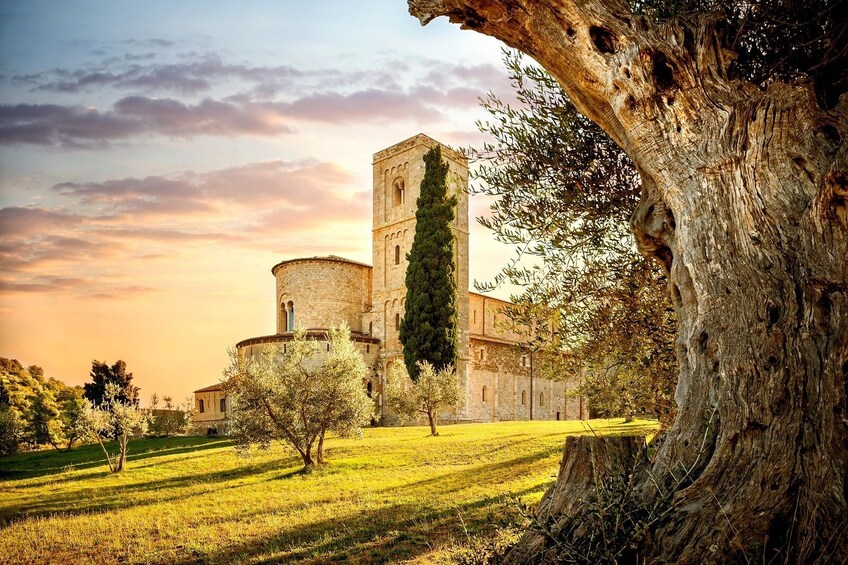 Small-Group Brunello di Montalcino Wine Tasting from Siena