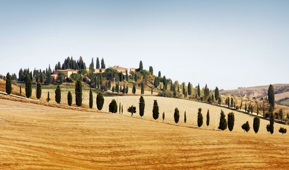 Small-Group Chianti & Castles Tour from Siena