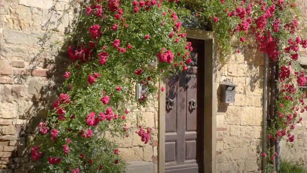 Small-Group Chianti & Castles Tour from Siena