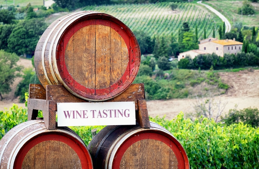 Small-Group Chianti & Castles Tour from Siena