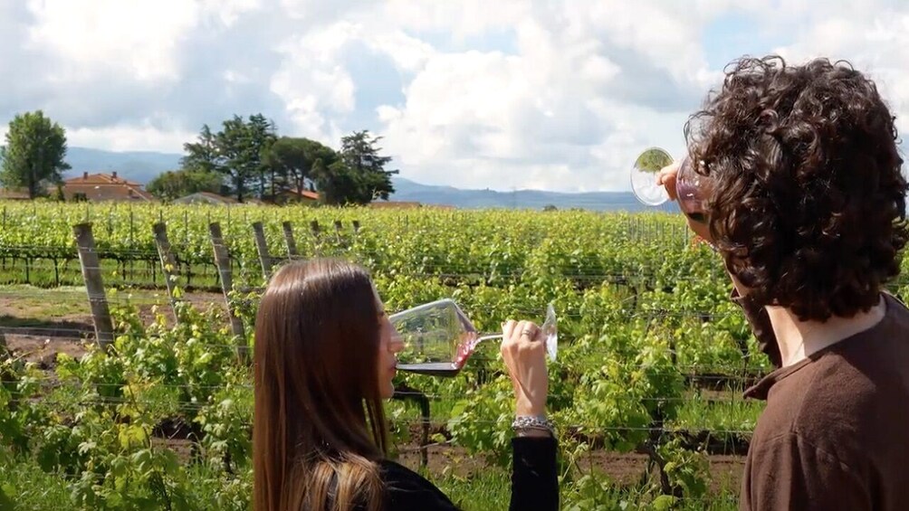 Small-Group Chianti & Castles Tour from Siena