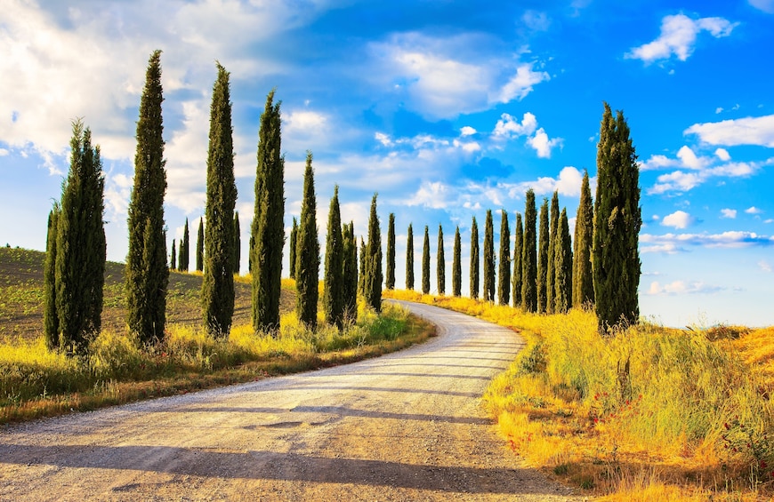 Tuscany Horseback Riding Tour from Siena