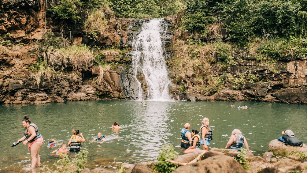Go City: Oahu All-Inclusive Pass with 40+ Attractions