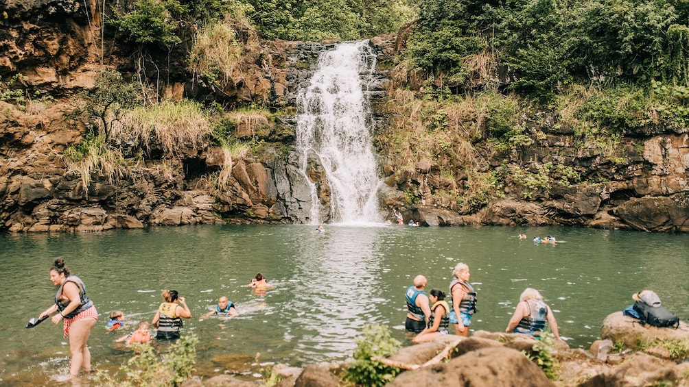 Go City: Oahu All-Inclusive Pass with 40+ Attractions